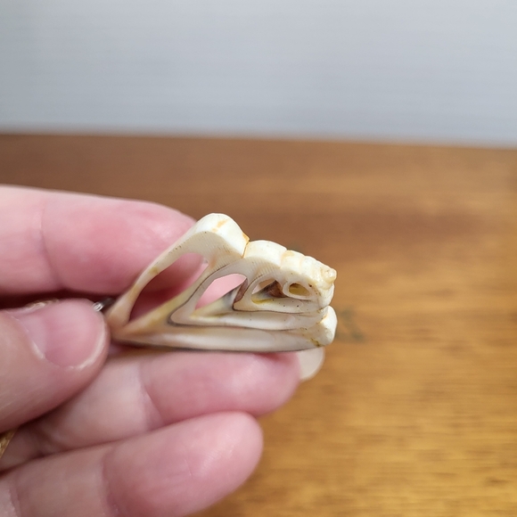 Vintage Natural Sea Shell Slice Necklace Pendant - Picture 12 of 14